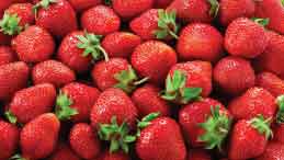 Fresas