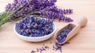 Té de Lavanda