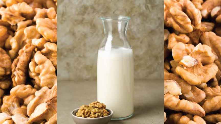 Walnut Milk Recipe